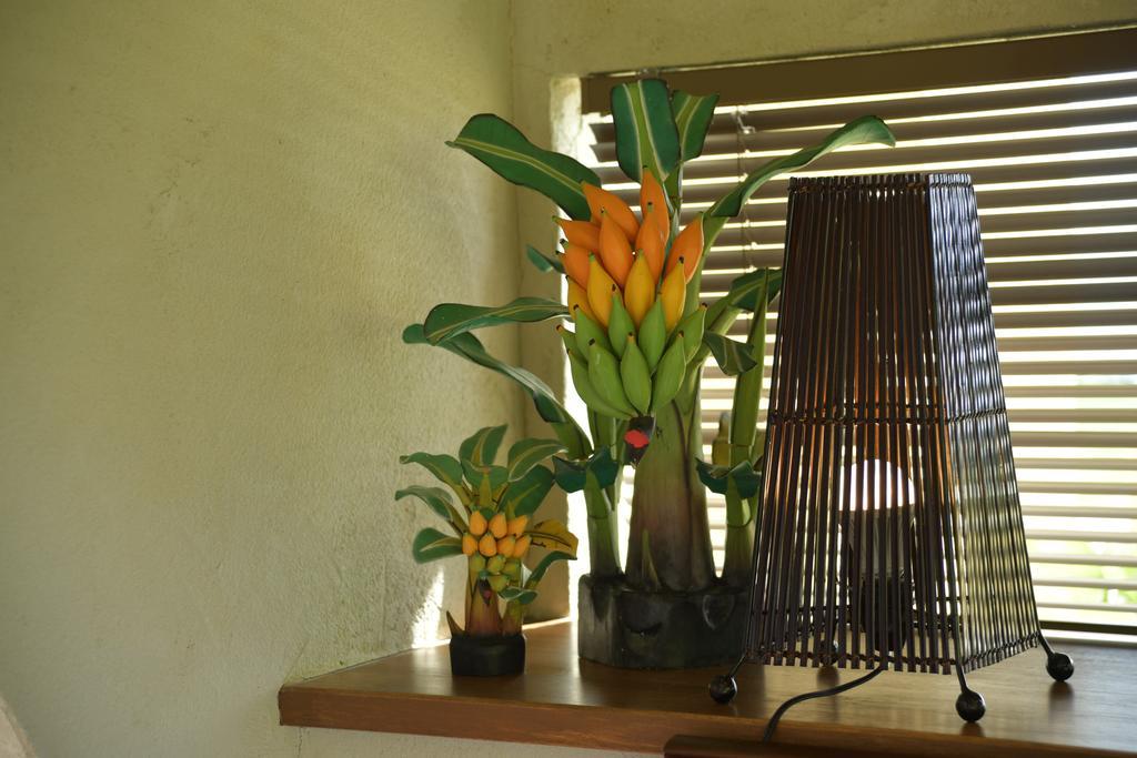 La Casita Kouri Villa Nakijin Buitenkant foto