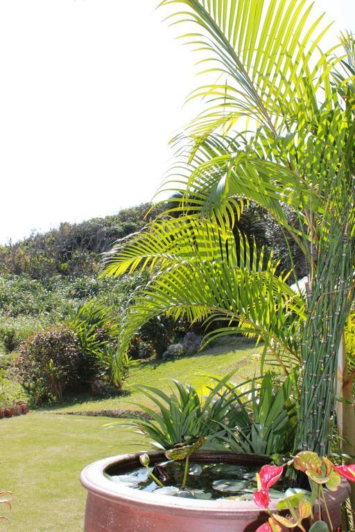 La Casita Kouri Villa Nakijin Buitenkant foto